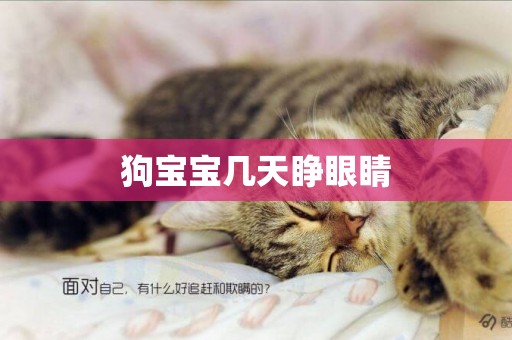 狗寶寶幾天睜眼睛
