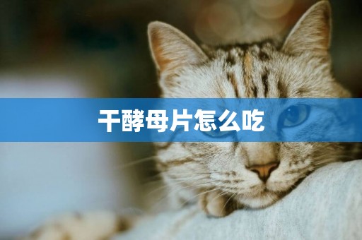 干酵母片怎么吃