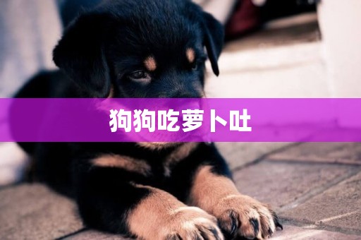 狗狗吃蘿卜吐