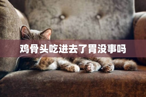 雞骨頭吃進去了胃沒事嗎