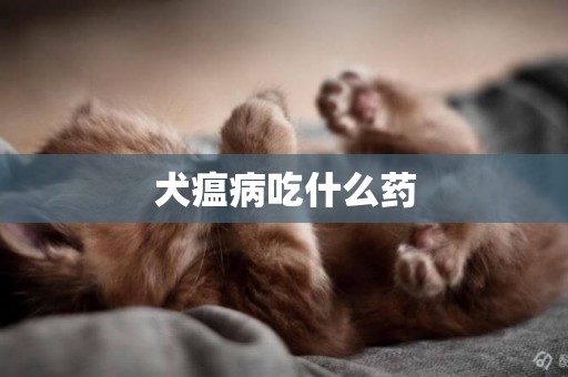 犬瘟病吃什么藥