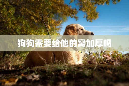 狗狗需要給他的窩加厚嗎