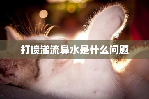 打噴涕流鼻水是什么問題