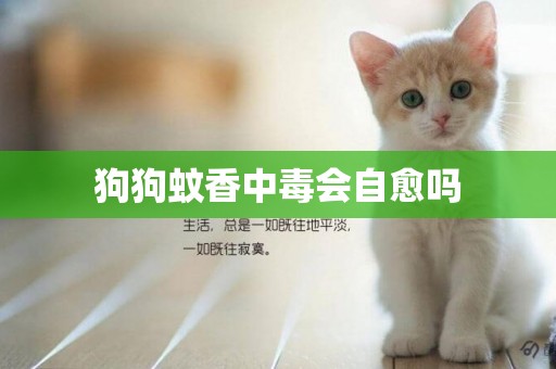 狗狗蚊香中毒會自愈嗎
