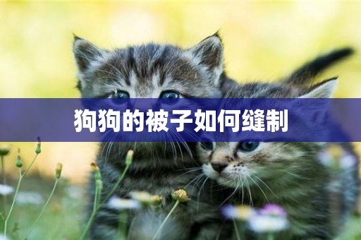 狗狗的被子如何縫制