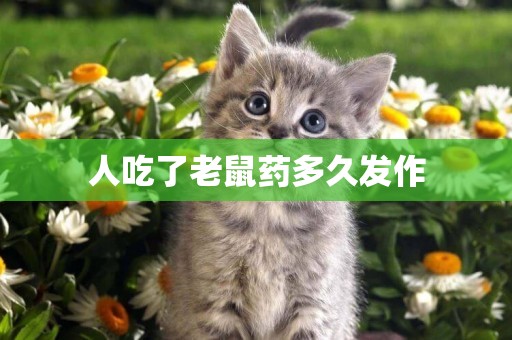 人吃了老鼠藥多久發作