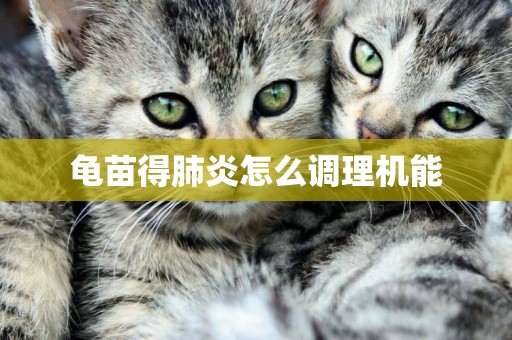 龜苗得肺炎怎么調理機能