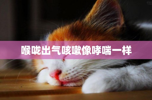 喉嚨出氣咳嗽像哮喘一樣
