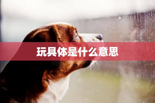 玩具體是什么意思