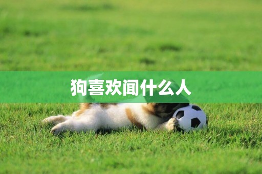 狗喜歡聞什么人