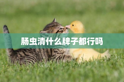 腸蟲清什么牌子都行嗎