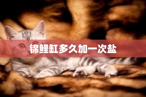 錦鯉缸多久加一次鹽