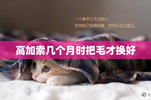 高加索幾個月時把毛才換好