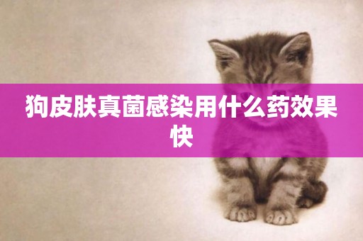 狗皮膚真菌感染用什么藥效果快