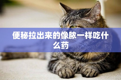 便秘拉出來的像膿一樣吃什么藥
