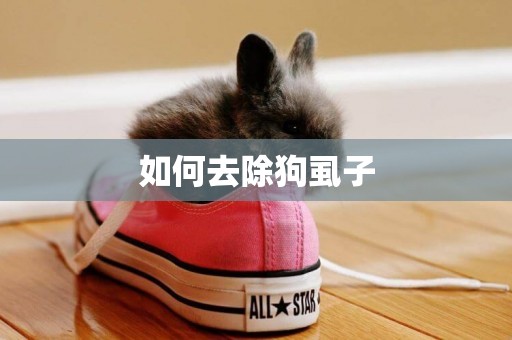 如何去除狗虱子