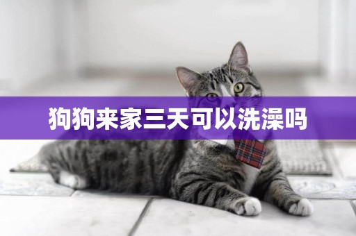 狗狗來家三天可以洗澡嗎