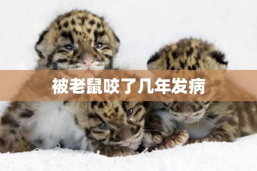 被老鼠咬了幾年發病