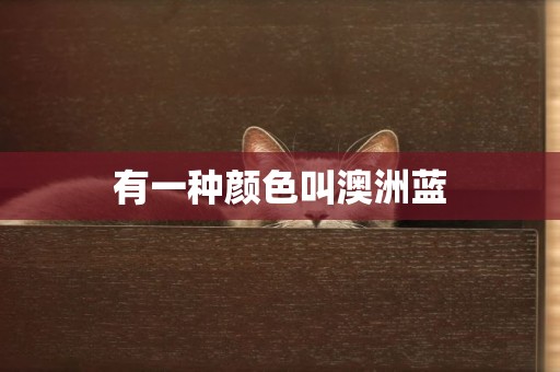有一種顏色叫澳洲藍