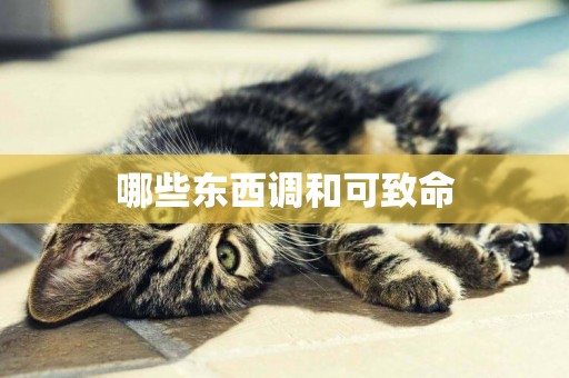 哪些東西調和可致命