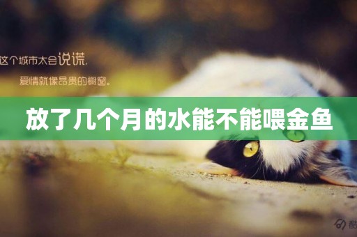 放了幾個月的水能不能喂金魚