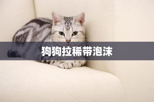 狗狗拉稀帶泡沫