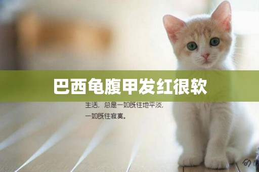 巴西龜腹甲發紅很軟