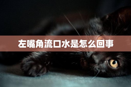 左嘴角流口水是怎么回事