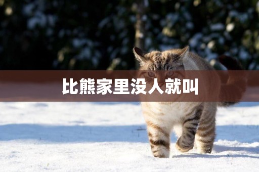 比熊家里沒人就叫