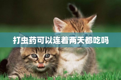打蟲藥可以連著兩天都吃嗎