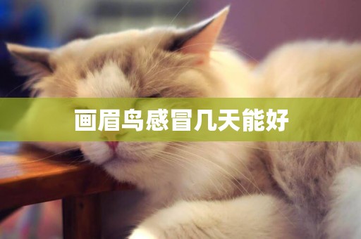 畫眉鳥感冒幾天能好