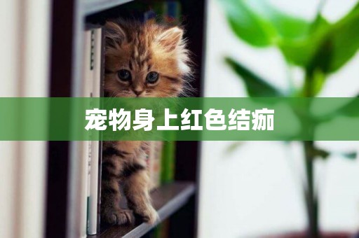 寵物身上紅色結痂