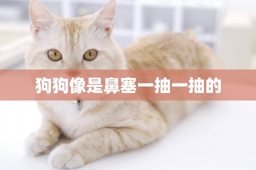 狗狗像是鼻塞一抽一抽的