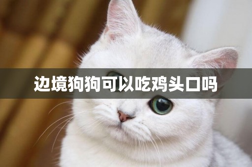 邊境狗狗可以吃雞頭口嗎
