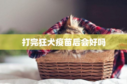 打完狂犬疫苗后會好嗎