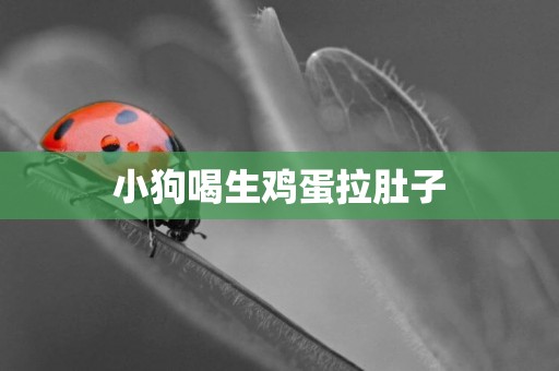 小狗喝生雞蛋拉肚子
