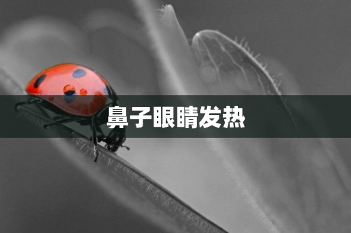 鼻子眼睛發熱