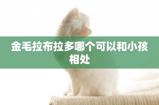 金毛拉布拉多哪個可以和小孩相處