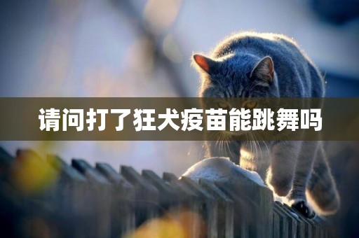 請問打了狂犬疫苗能跳舞嗎