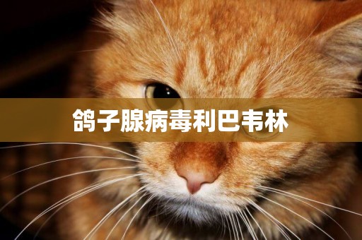 鴿子腺病毒利巴韋林