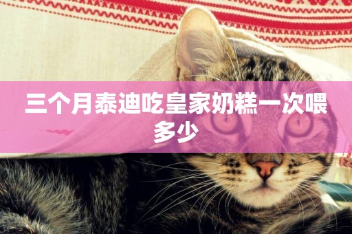 三個月泰迪吃皇家奶糕一次喂多少