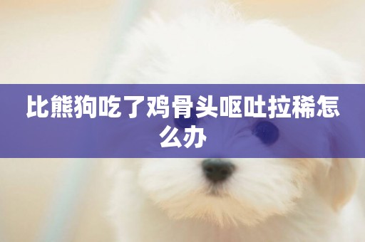 比熊狗吃了雞骨頭嘔吐拉稀怎么辦
