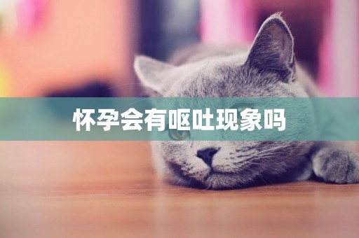 懷孕會有嘔吐現象嗎