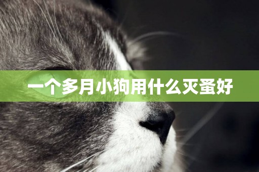 一個多月小狗用什么滅蚤好