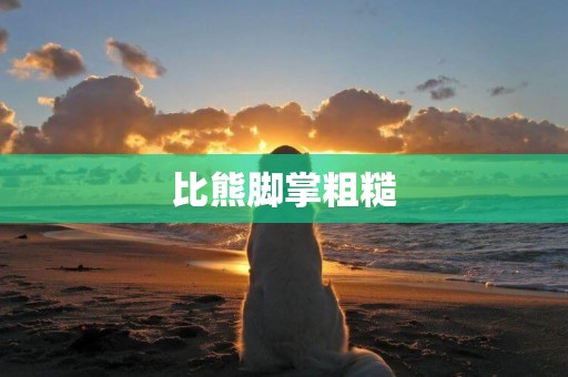 比熊腳掌粗糙