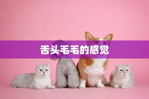 舌頭毛毛的感覺
