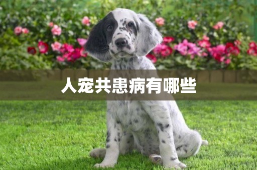 人寵共患病有哪些