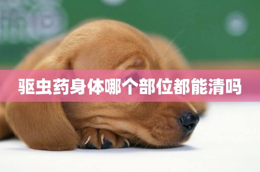 驅蟲藥身體哪個部位都能清嗎
