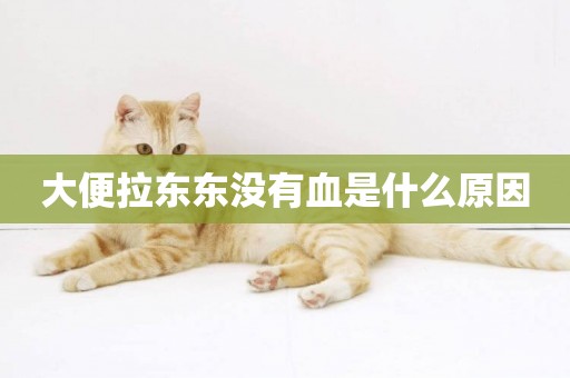 大便拉東東沒有血是什么原因