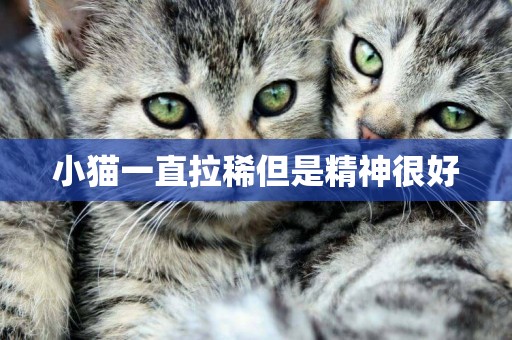小貓一直拉稀但是精神很好